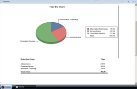 Time pie report